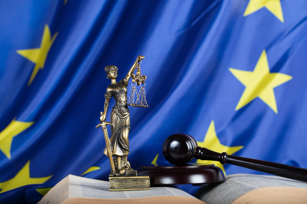 İnsan Hakları Avrupa Mahkemesi Bireysel Başvuru